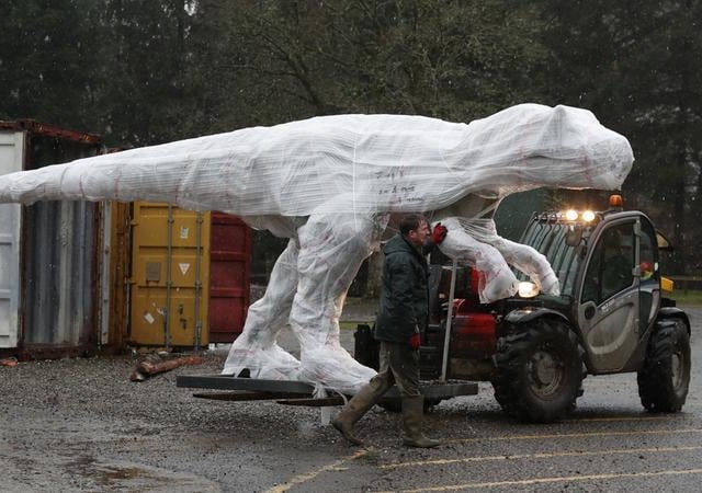 An Allosaurus is moved from a shipping container after arriving at the Safari park