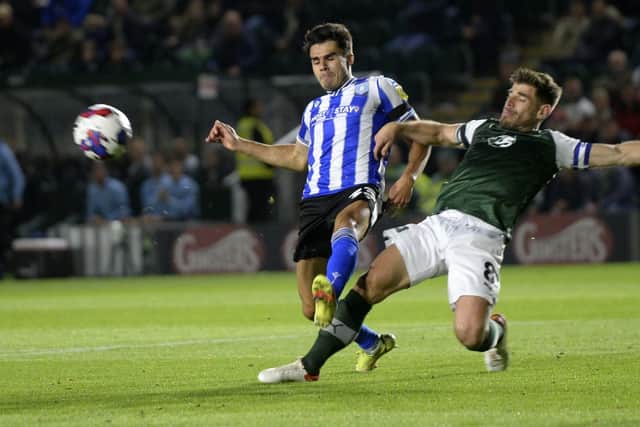 Reece James could potentially return for Sheffield Wednesday this weekend.