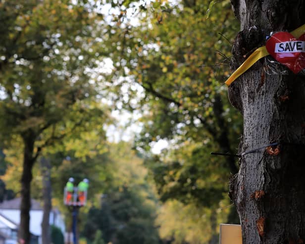 Some campaigners who fought against the infamous street tree felling scandal are still waiting for personal apologies from Sheffield Council despite the deadline having passed.