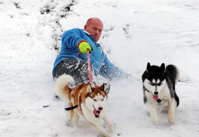 Matthew Spencer with his huskies in 2013.