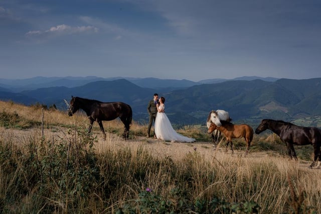 1,632 weddings in one year (Photo: Shutterstock)