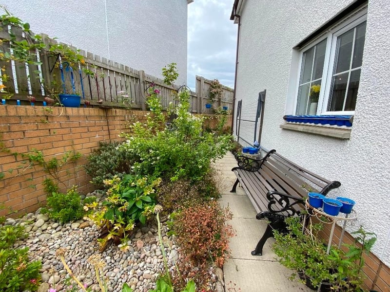 Side garden.