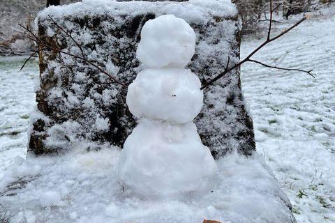 Snowman in Queen Elizabeth park. Picture: Marcin Jedrysiak