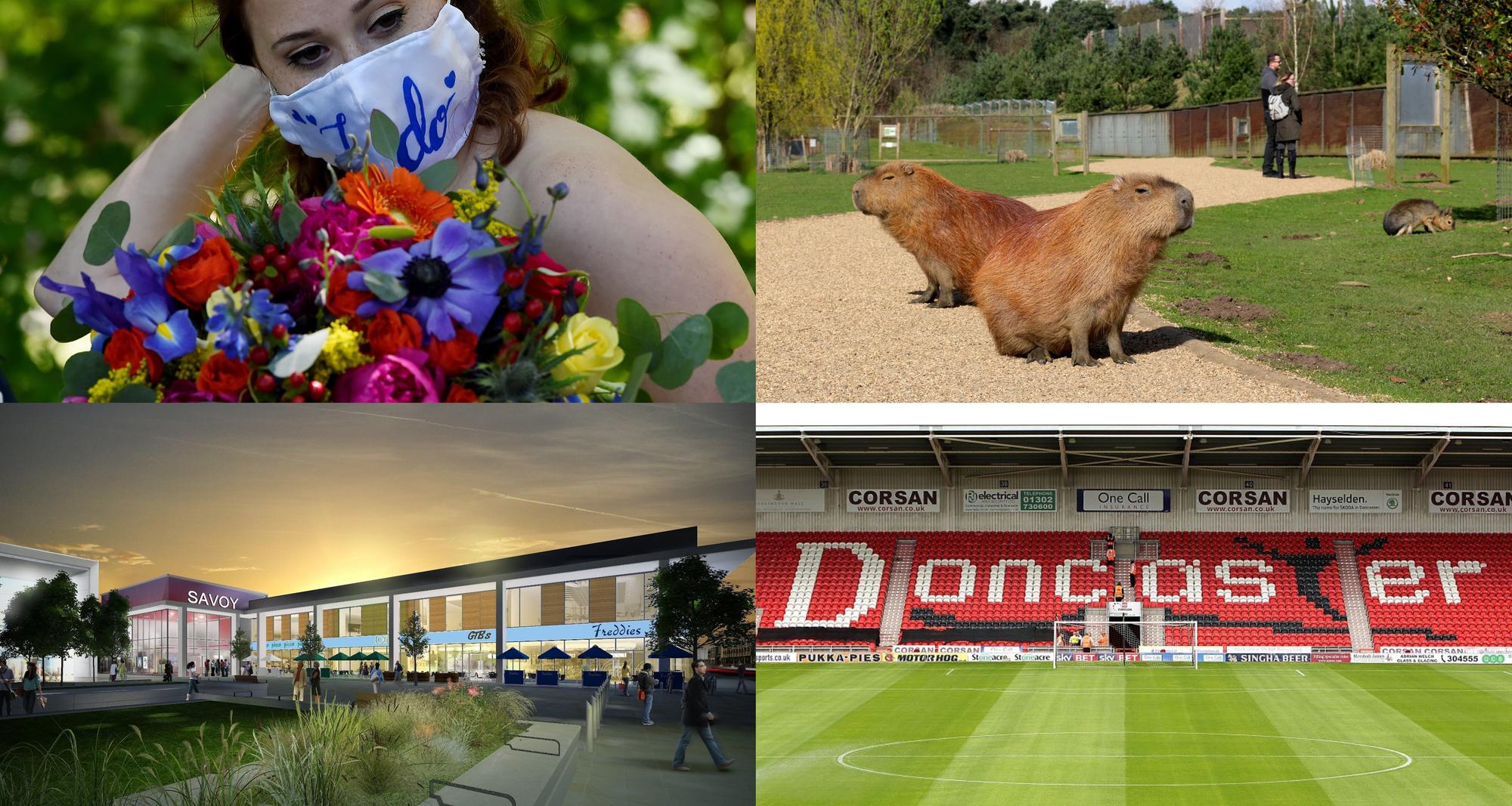 There is much to look forward to in Doncaster when lockdown ends.