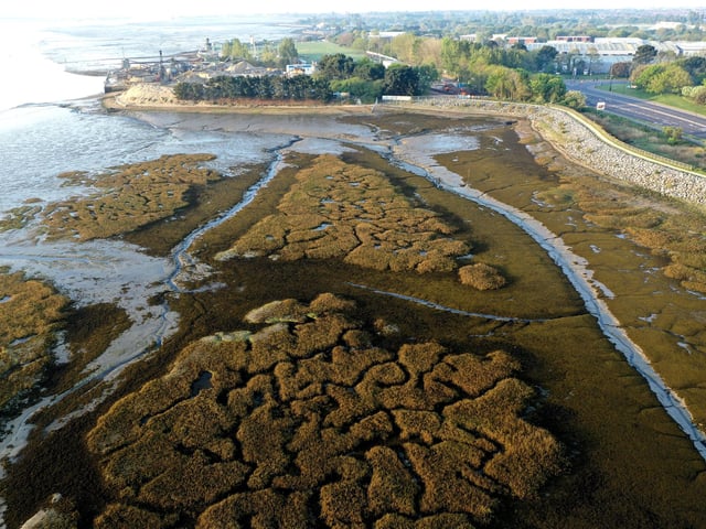 Wonderful shapes at low tide taken from the Eastern Road of Langstone Harbour