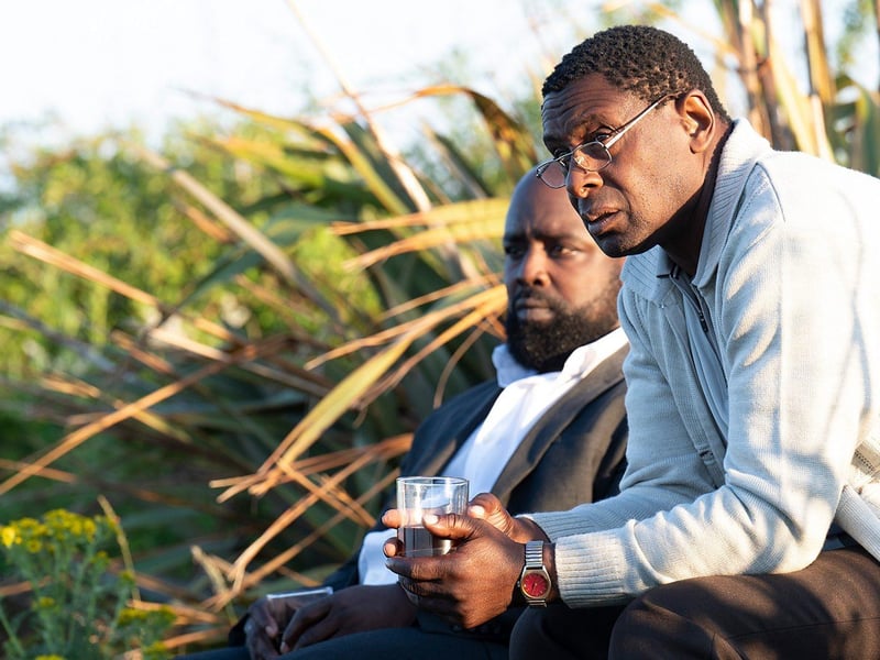A big Blues fan, Homeland star David Harewood was born in Small Heath. He attended St Benedict's Junior School and Washwood Heath Academy