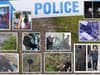 12 CCTV pictures show 15 people South Yorkshire Police think hold clues to crimes in and near Sheffield
