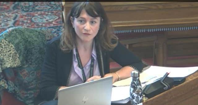Sheffield City Council member Coun Marieanne Elliot said that there should be a single point of contact where people can report anti-social behaviour to the council. Picture: Sheffield Council webcast