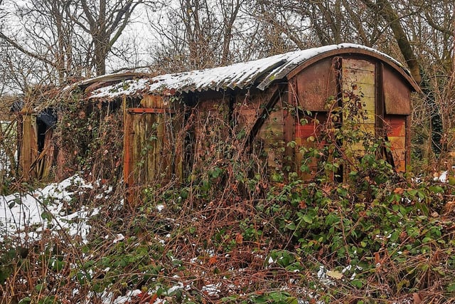 Plants and weeds surrounds what appears to be the shell of a freight wagon