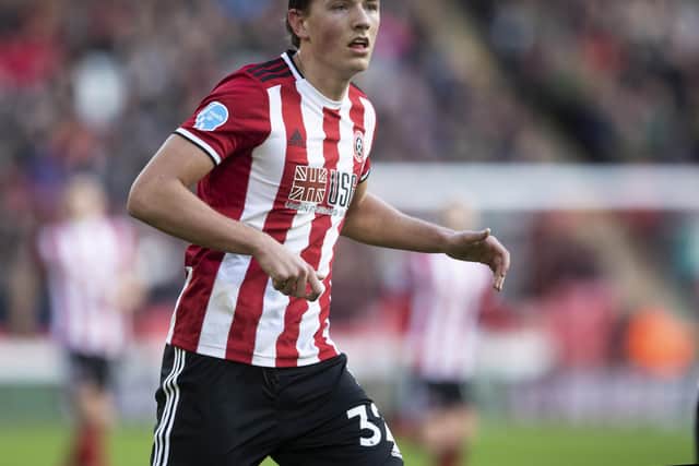 Sander Berge hopes to make his third start for Sheffield United against Brighton and Hove Albion: Simon Bellis/Sportimage