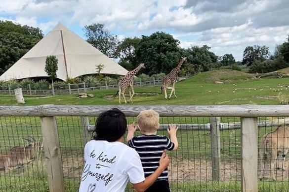 The Yorkshire Wildlife Zoo has re-opened. @kizzyannabodle took a trip there and shared this photo.