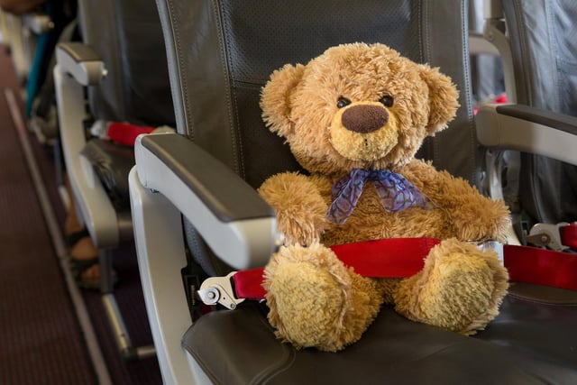John James the teddy bear with his own seat on a plane to France. 
These adorable teddy bears could be the world's most well-travelled cuddly toys - as their photographer owner has chronicled their adventures in 27 different countries. Christian Kneidinger, 57, has been travelling with his teddy bears, named John and Bob since 2014 - and his taken them to some of the world's most famous landmarks. The teddy bears have dressed up in traditional Emirati clothing to visit the Sultan's Palace in Oman, and have braved the cold on a glacier on Lofoten Island in Norway.