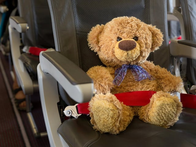 John James the teddy bear with his own seat on a plane to France.
These adorable teddy bears could be the world's most well-travelled cuddly toys - as their photographer owner has chronicled their adventures in 27 different countries. Christian Kneidinger, 57, has been travelling with his teddy bears, named John and Bob since 2014 - and his taken them to some of the world's most famous landmarks. The teddy bears have dressed up in traditional Emirati clothing to visit the Sultan's Palace in Oman, and have braved the cold on a glacier on Lofoten Island in Norway.