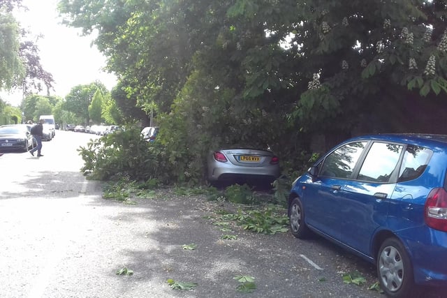 More cars were trapped under a fallen Horse Chestnut tree on Morningside Drive too.