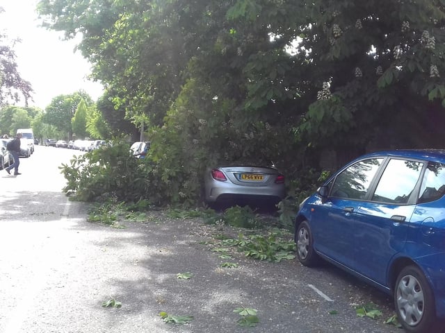 More cars were trapped under a fallen Horse Chestnut tree on Morningside Drive too.