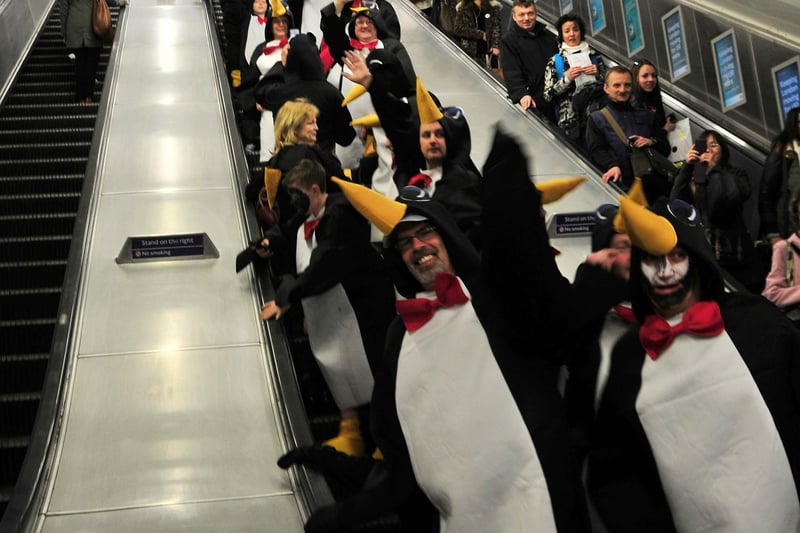 In 2013, the Poolie Penguins headed south to Crawley in their numbers. Terrific support!