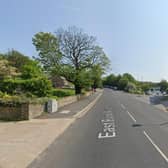 Green Party councillors objected to plans for a new phone mast over concerns it will block a new cycling and walking route.