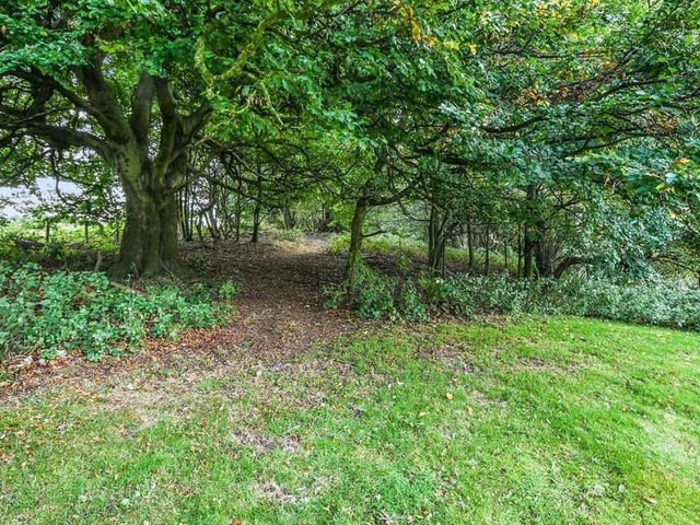 And as we say farewell to Halfmoon Farm, one last shot of the natural beauty that awaits the new owners when they step outside their door. A stroll through your own wood, perhaps?
