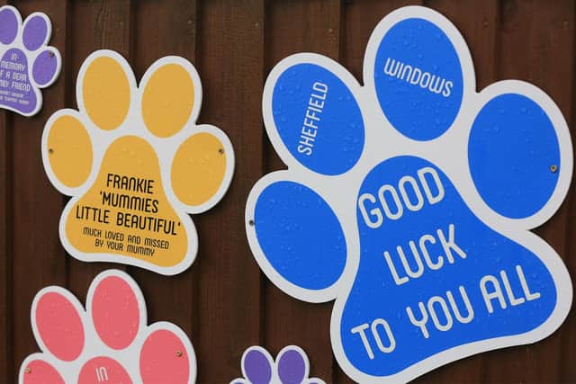 Staff and animals at Rain Rescue to help promote their mother's day plaques they are offering this year to help them through the pandemic financially. 
Picture: Chris Etchells