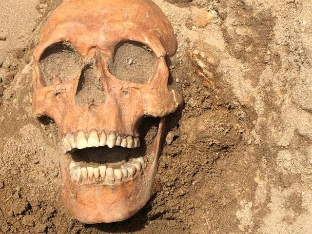 Initial discoveries during the earlier four-month dig included whale remains which left experts baffled.