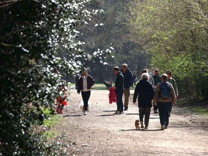 Often called 100 acres because of its location off Hundred Acres Road in Wickham, this walk is a firm family favourite with the woods to explore, paths to follow and a play area with a sand pit for the children to enjoy. There are also take away cafe facilities and toilets on site.
