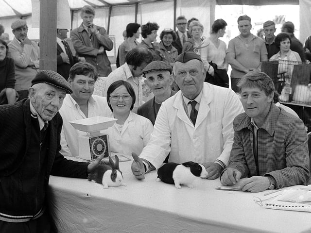 Another from the 1980 Sutton Welfare Number 3 Area Corp SJAB Gala