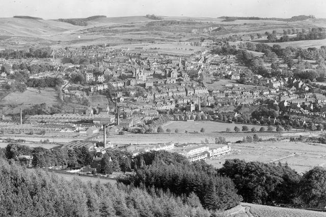 Selkirk in the sunshine, August 1953.