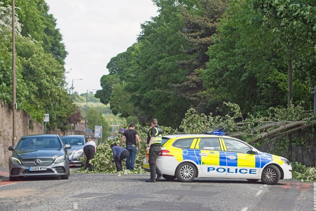 The tree, which fell from the grounds of Liberton Golf Club, blocked the main road just after the turn-off for Kingston Avenue. (Credit: Neil Hanna)