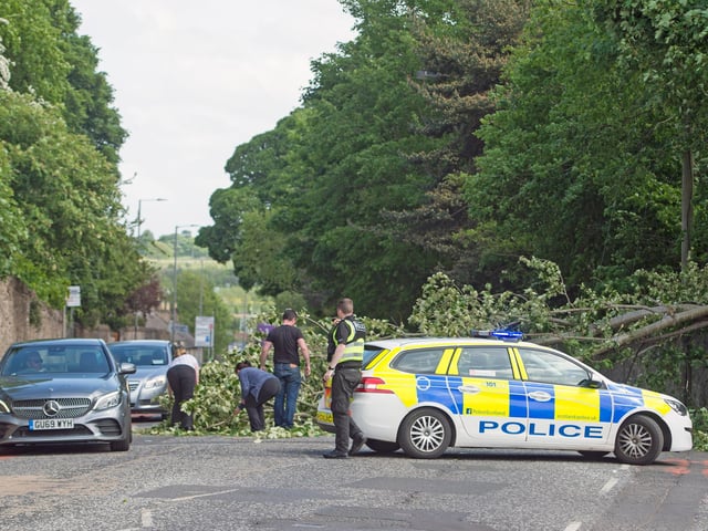 The tree, which fell from the grounds of Liberton Golf Club, blocked the main road just after the turn-off for Kingston Avenue. (Credit: Neil Hanna)