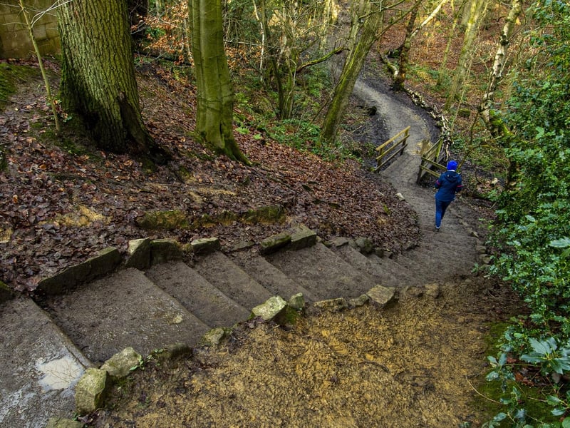 Discover waterboatmen, mayfly nymphs and more! Join Wild Play at Ecclesall Woods for pond dipping and nature activities. Running Tue 27/05 @ 1:00 pm - 3:00 pm. 📍 Ecclesall Woods, Abbey Lane, Sheffield (Discovery Centre area)