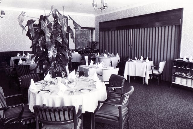 Dining room at Baldwins Omega Restaurant, Sheffield, pictured on August 26, 1980 - look at that amazing monster pot plant!