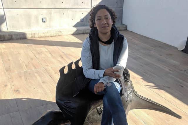 Sheffield MPs have called on the Foreign Secretary to raise the case of missing Claudia Uruchurtu