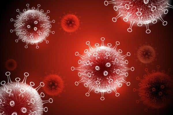 Coronavirus. Picture: Shutterstock