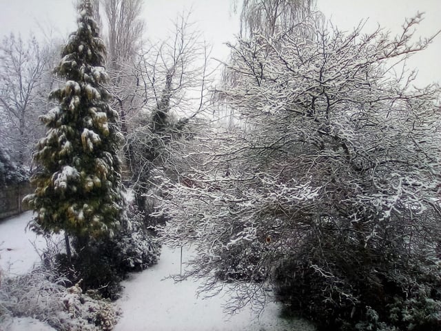 Winter wonderland by Shamus McGuigan.