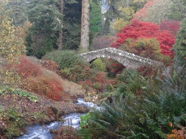 Set over 65 acres,  Dawyck Botanic Garden is a magical patchwork of woods, burns and fungi that famously glows with autumnal colour. PIC:  Dave Knott.