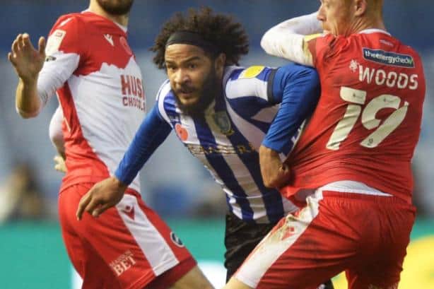 Izzy Brown has found pitch time limited under Tony Pulis at Sheffield Wednesday.