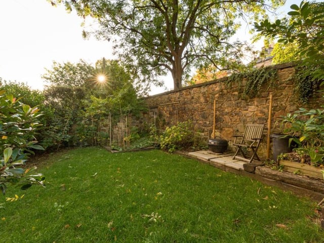 Rear garden.
