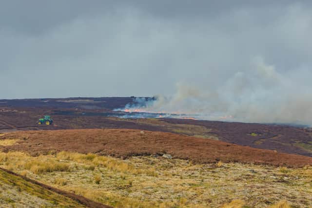 Controlled heather burning on managed Grouse Moorland
