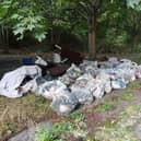 Some of the rubbish collected by volunteer litter pickers in Pitsmoor, Sheffield (pic: Malcolm Camp)