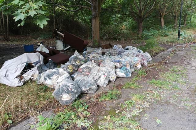 Some of the rubbish collected by volunteer litter pickers in Pitsmoor, Sheffield (pic: Malcolm Camp)