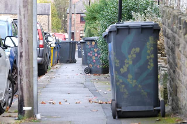 Members of Sheffield City Council are considering cuts including a possible move to monthly bin collections, says leading councillor Bryan Lodge