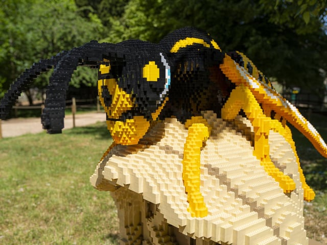 Marwell Zoo welcomes new SUPERSIZED! arrivals ahead of reopening