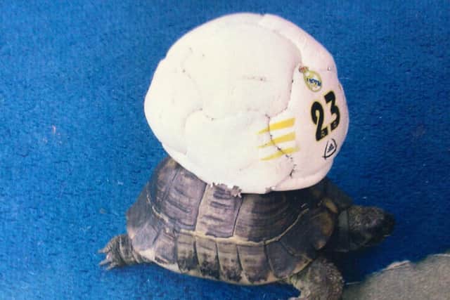 Fred with a deflated football on his back - one of the failed methods the Betts family used to try to keep tabs on him during camping trips