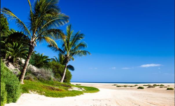 Fuerteventura, Spain.