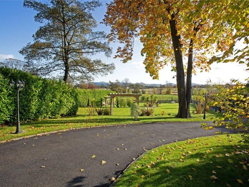 Driveway and garden.