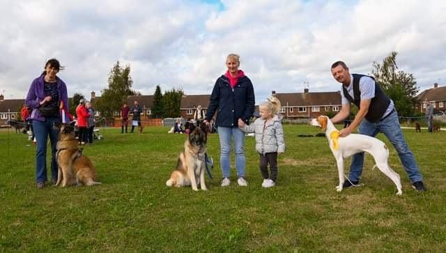Dogs of all breeds competed.