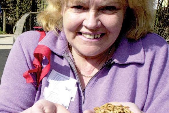 Supermum Margaret Lane of Sheffield shows there's no wiggling out  of the Mother's Day Creepy Crawlie Challenge the following year. Her bravery earned her a cream tea in the cafe.