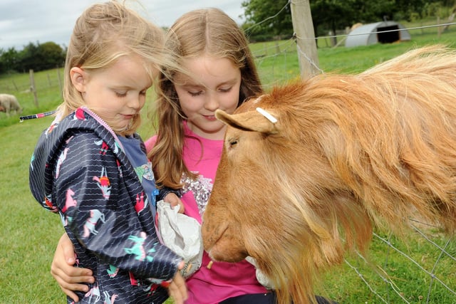 From Llamas to ducks there are loads of animals to meet. Tickets must be booked at www.whitepostfarm.co.uk