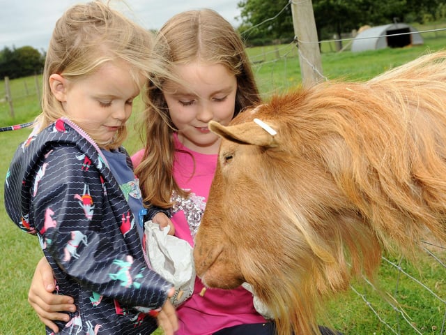 From Llamas to ducks there are loads of animals to meet. Tickets must be booked at www.whitepostfarm.co.uk