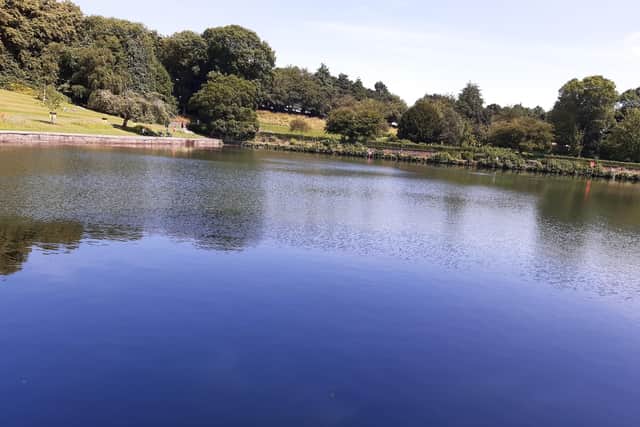 Crookes Valley Park today